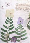 Anna Corba, Fabric With Pressed Flowers