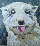 Susan Schenk, Animal Portrait Collage